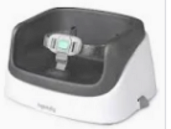 Ingenuity Grey Booster Seat