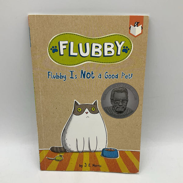 Flubby: Flubby is Not a Good Pet! (paperback)