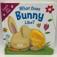 What Does Bunny Like (boardbook)