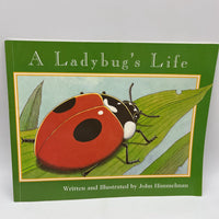 A Ladybug's Life ( paperback )