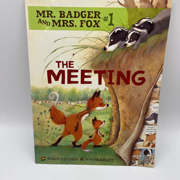 The Meeting (paperback)