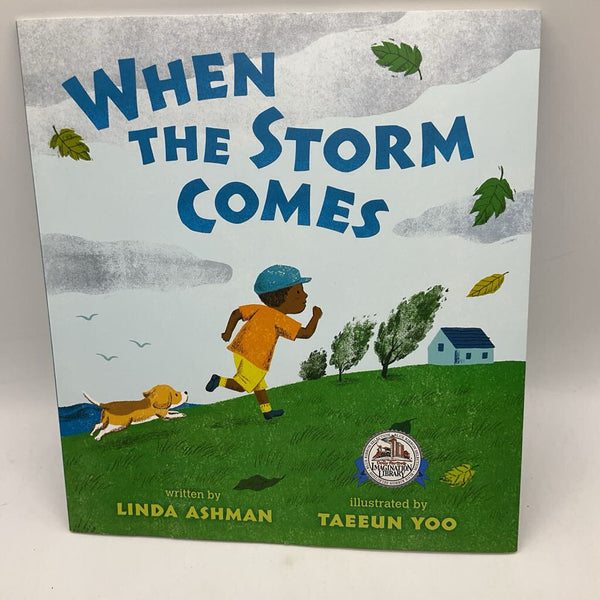 When the Storm Comes (paperback)