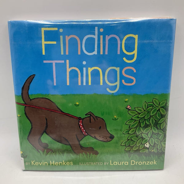 Finding Things (hardcover)