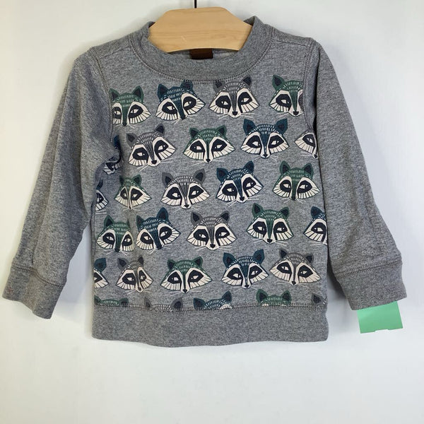 Size 9-12m: Tea Grey Green/Blue Raccoon Sweater