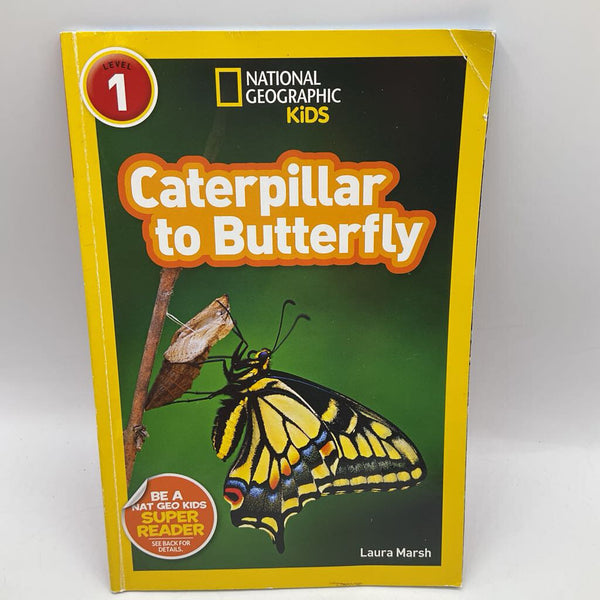 Caterpillar To Butterfly (paperback)