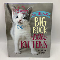 The Big Book Of Little Kittens (hardcover)