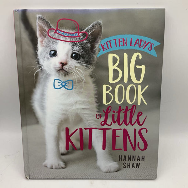 The Big Book Of Little Kittens (hardcover)