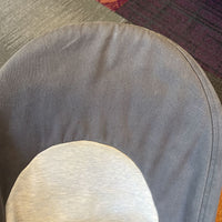 Baby Bjorn Grey Bouncer- (retails $200+) REDUCED