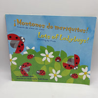 Montones de mariquitas! Lots of Ladybugs