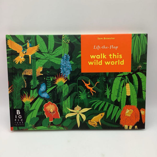 Walk This World (boardbook)
