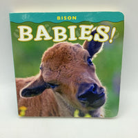 Babies Bison (boardbook)