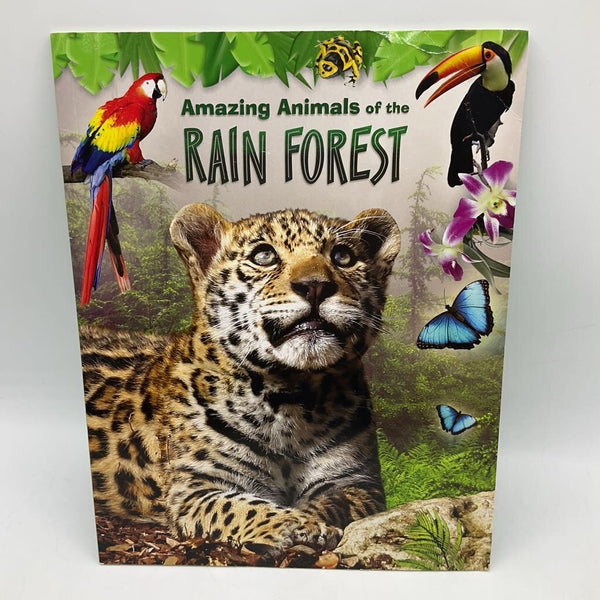 Amazing Animals Of The Rainforest (paperback)