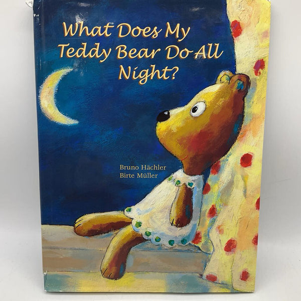 What Does My Teddy Bear Do All Night (hardcover)