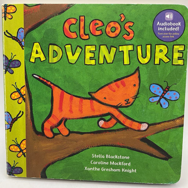 Cleo's Adventure (board book)