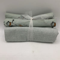 Green Stripe/Plane Print 2pc Swaddle NEW