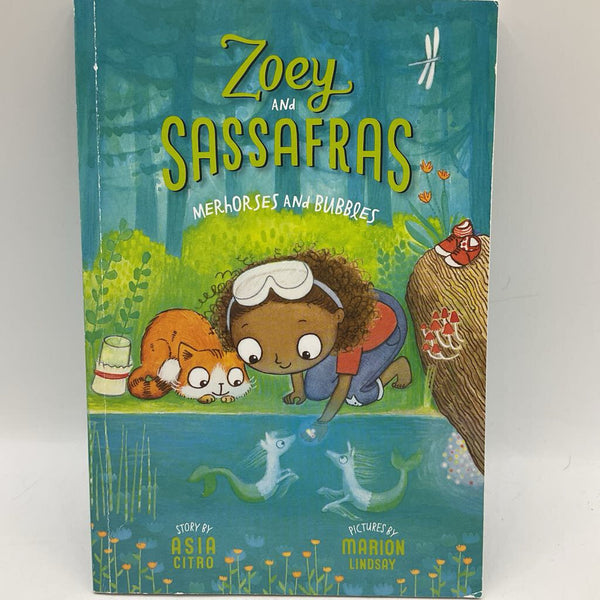 Zoey And Sassafras Merhorses And Bubbles (paperback)