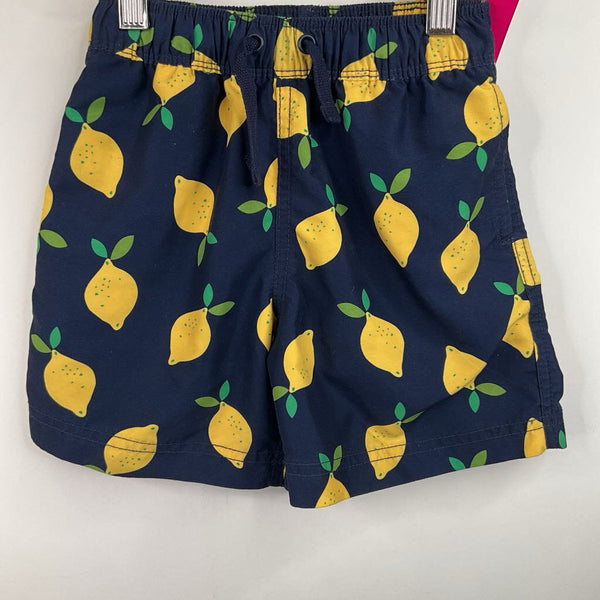 Size 4 (100): Hanna Andersson Blue Lemon Print Swim Trunks