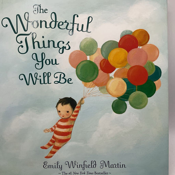 The Wonderful Things You Will Be (hardcover)