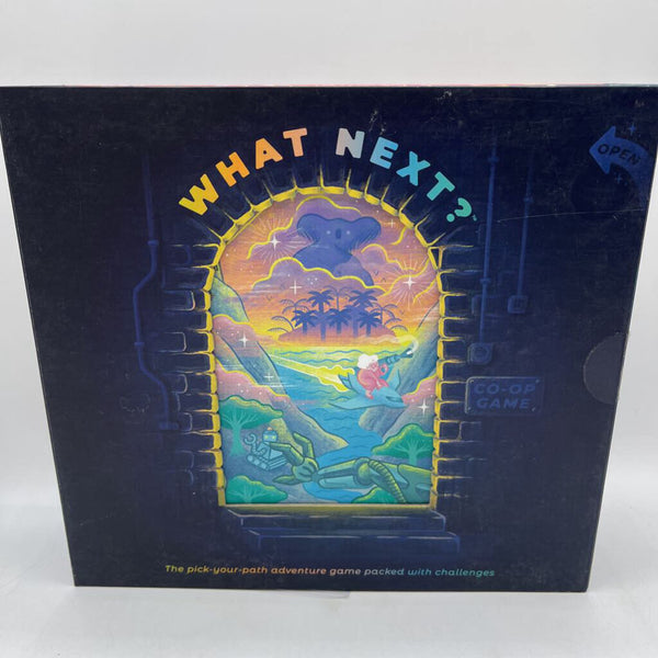What Next: Pick Your Own Adventure Game