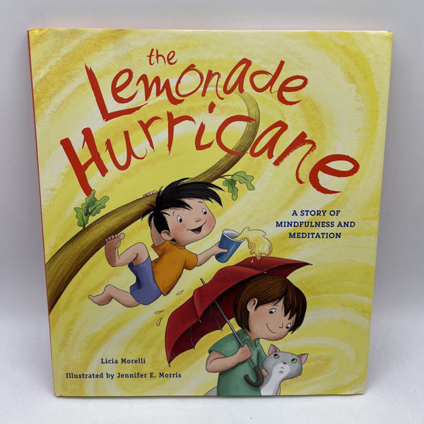 The Lemonade Hurricane (Hardcover)