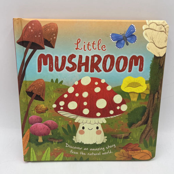 Little Mushroom (boardbook)