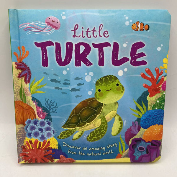 Little Turtle (boardbook)