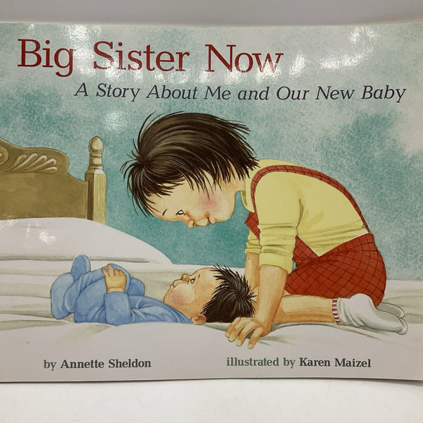 Big Sister Now(paperback)