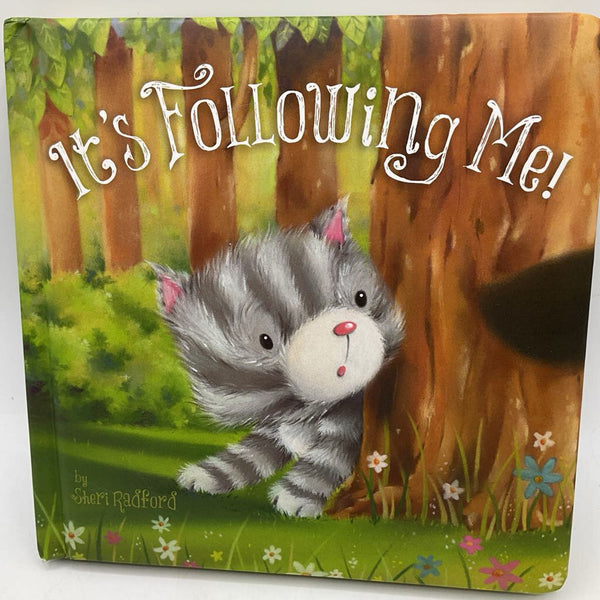 It's Following Me (boardbook)