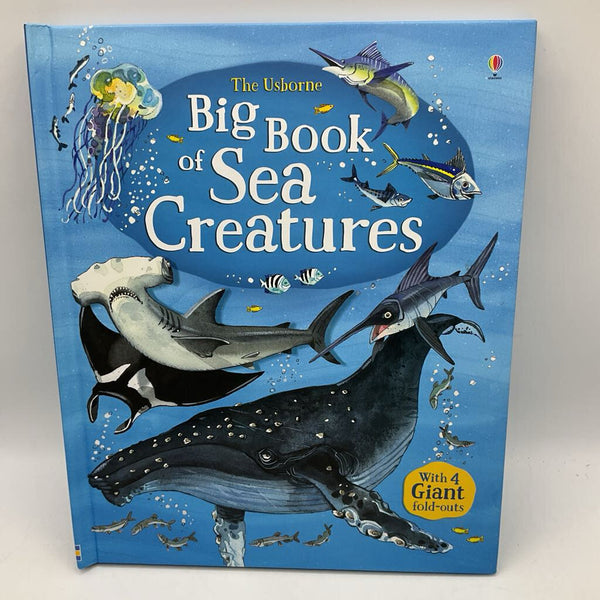 Big Book Of Sea Creatures (hardcover)