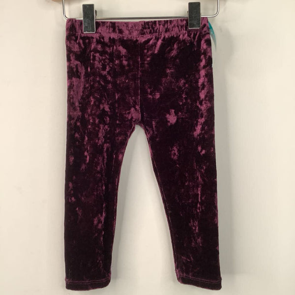 Size 12-18m: Peek Purple Velour Pants