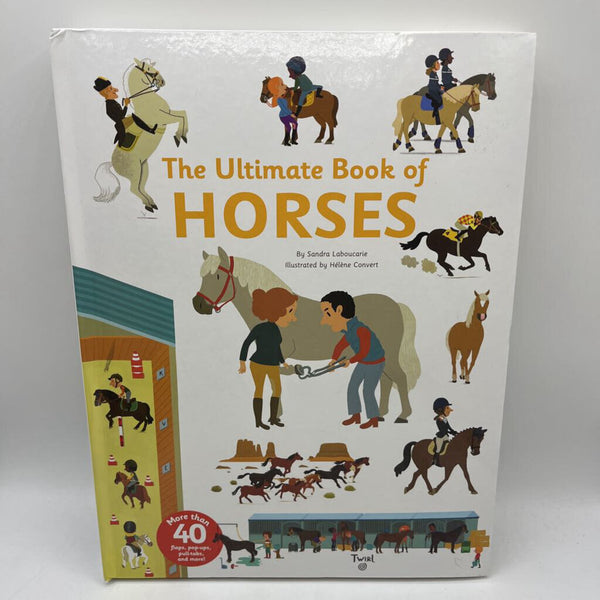 The Ultimate Book Of Horses (hardcover)