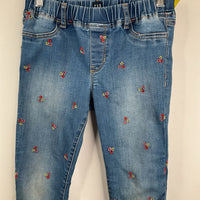 Size 12:Gap Green/Red/Pink Floral Embroidery Jeans
