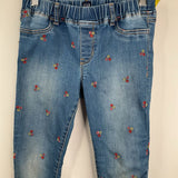 Size 12:Gap Green/Red/Pink Floral Embroidery Jeans