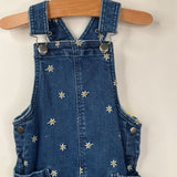 Size 3 (90): Hanna Andersson Blue Floral Overalls