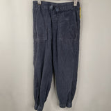 Size 5 (110): Hanna Andersson Blue Pants