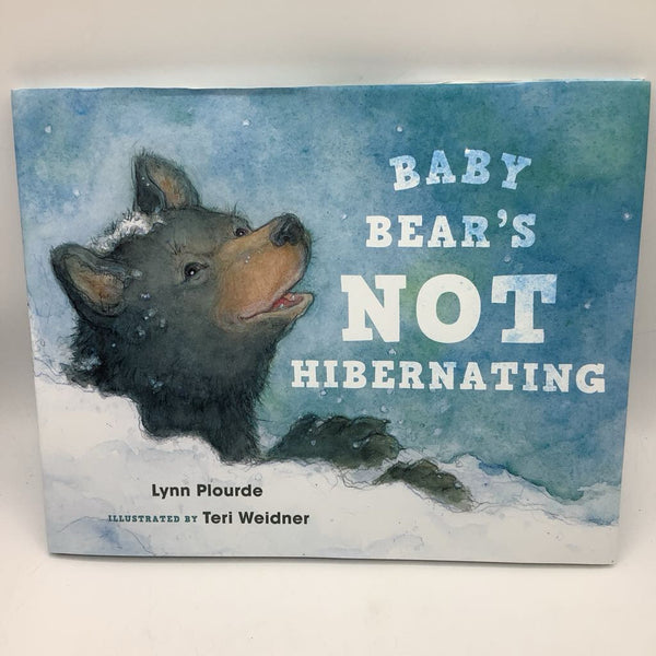 Baby Bears Not Hibernating (hardcover)