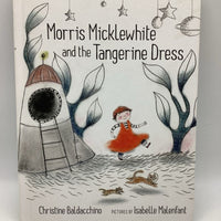 Morris Micklewhite And The Tangerine Dress (hardback)
