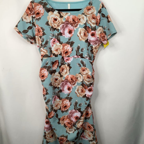 Size M: Pink Blush Blue Floral Short Sleeve Dress