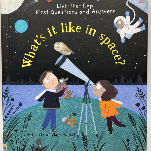 What's It Like In Space (boardbook)