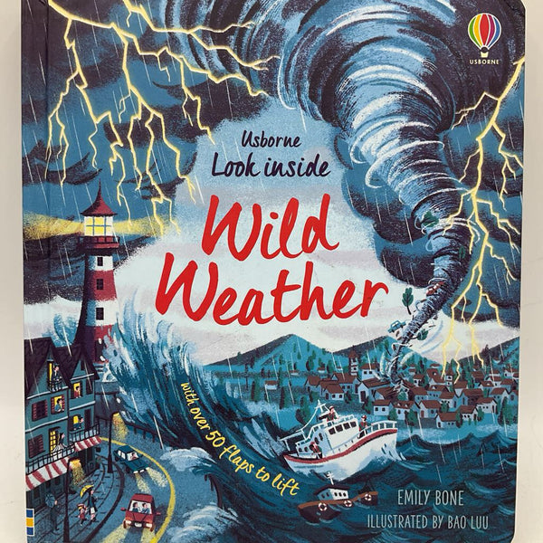 Wild Weather (boardbook)
