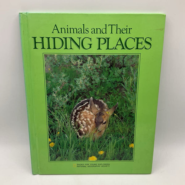 Animals & Their Hiding Places (hardcover)