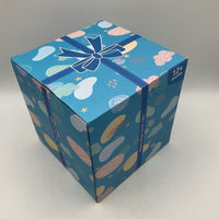 Wooden Shape Sorter Cube