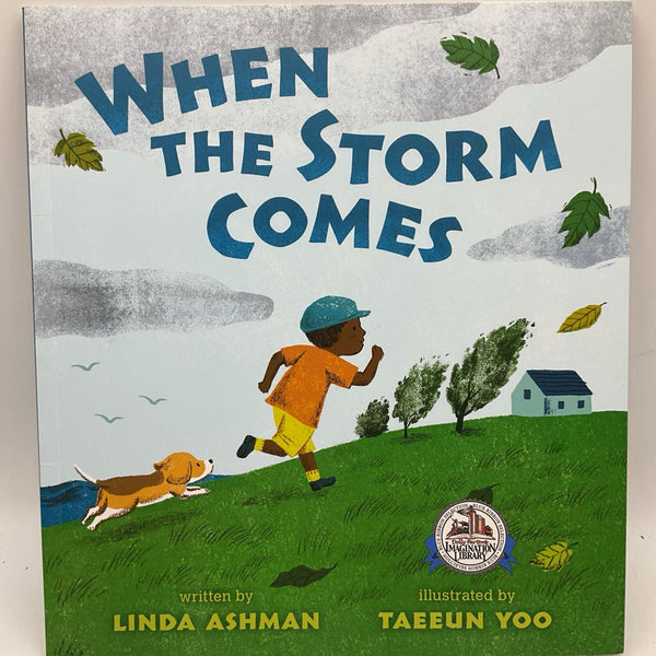 When The Storm Comes (paperback)