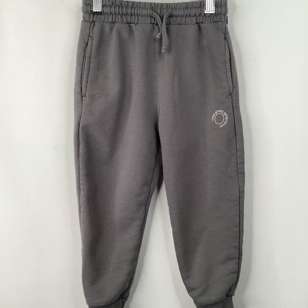 Size 2-3: Zara Grey Cozy Pants