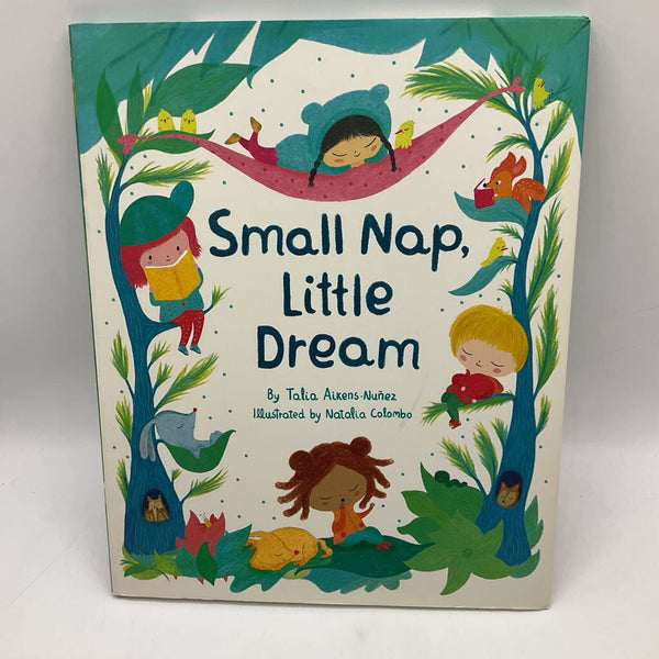 Small Nap, Little Dream (hardcover)