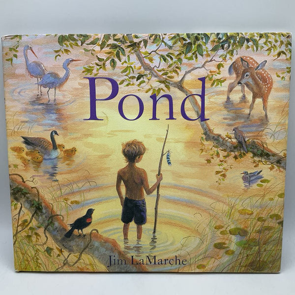 Pond (hardcover)