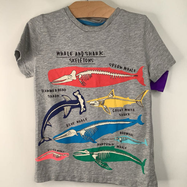 Size 6-7: Mini Boden Grey Sea Creatures T-Shirt