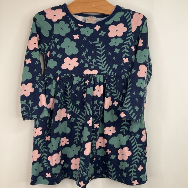 Size 3 (90): Hanna Andersson Blue/Pink/Green Floral Long Sleeve Dress