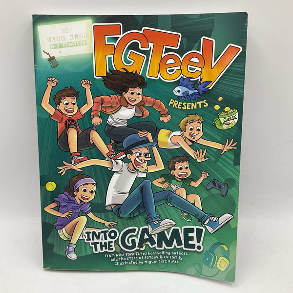 Into The Game (paperback)