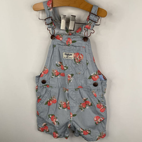 Size 3: Osh Kosh B'Gosh Blue/Pink Peach Print Shorty Overalls